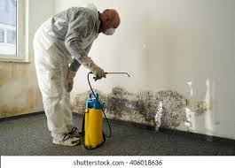 Best Emergency Mold Remediation  in Bay City, MI